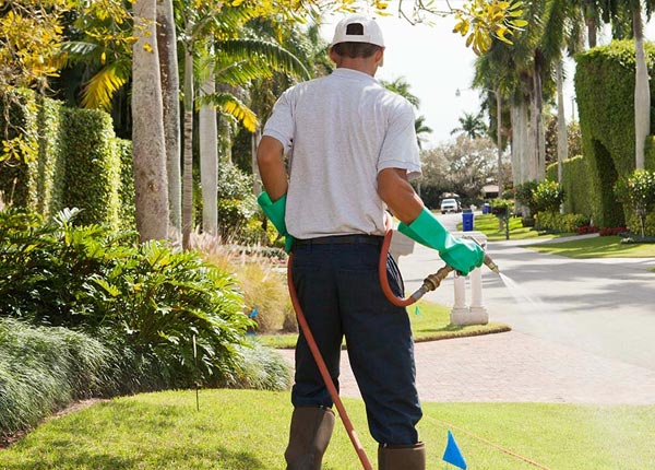 About Harper KS Pest Control